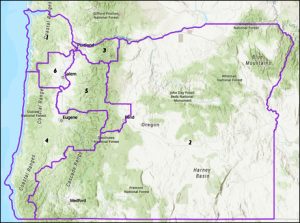 Oregon Redistricting Map 2021 300x223 